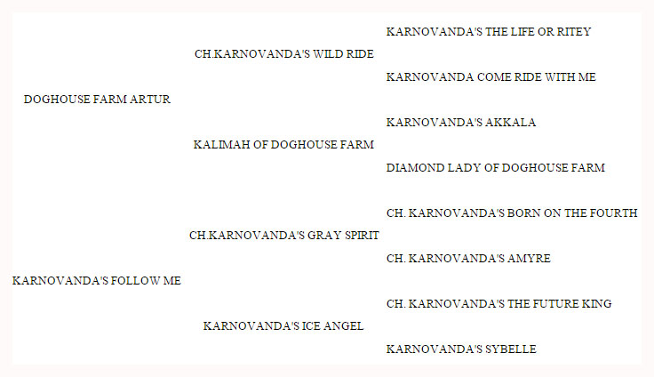 pedigree genealogia