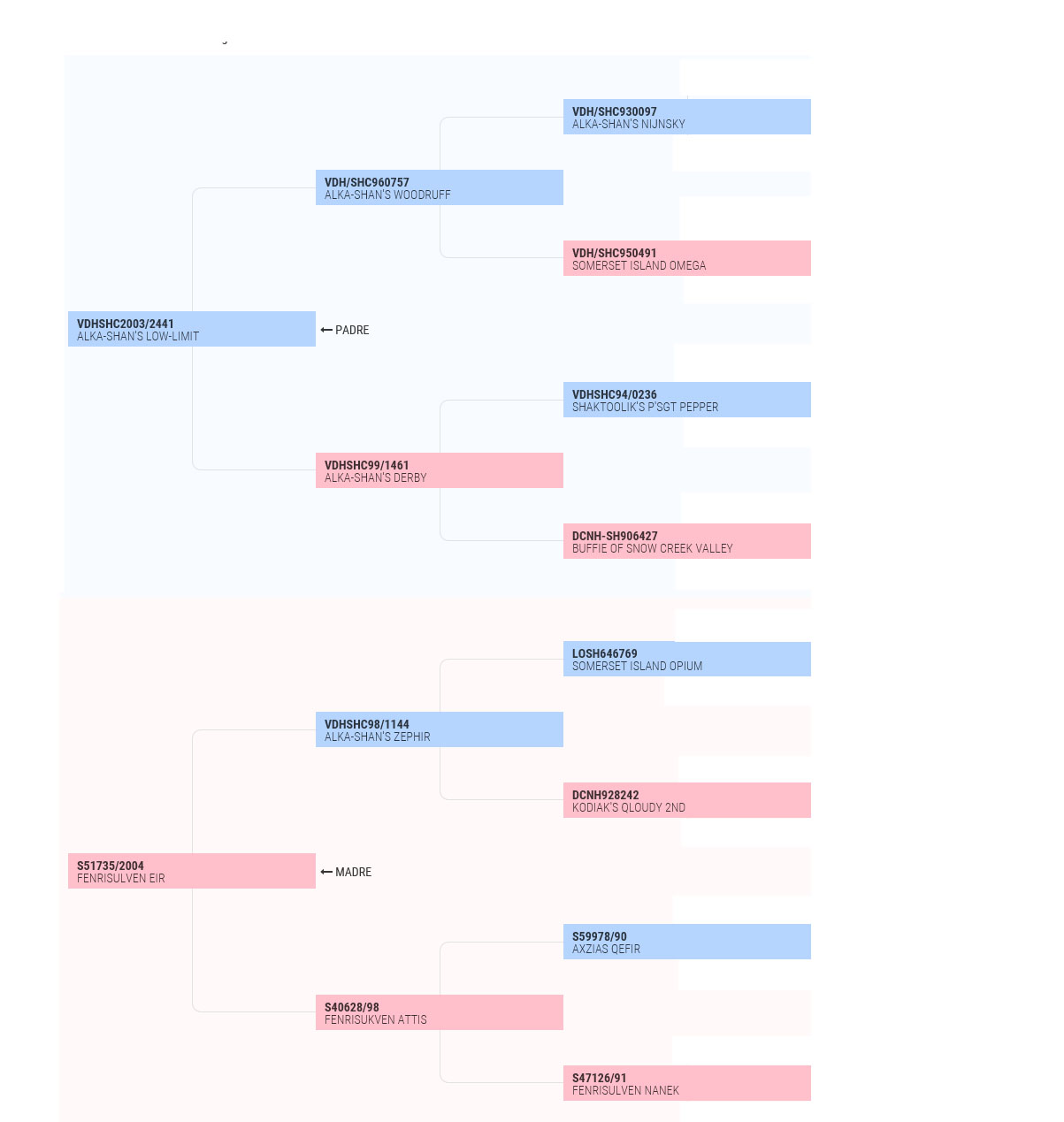 pedigree genealogia