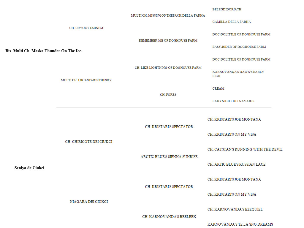 ped_ice genealogia bis. multi ch. Like